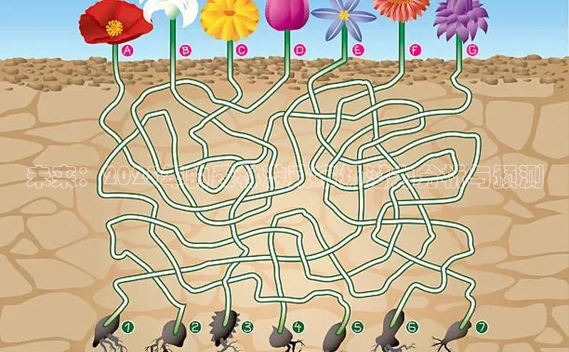 MK体育官方网站入口